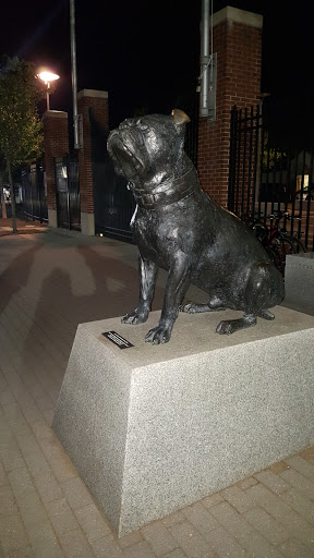 Stadium «Yale Bowl», reviews and photos, 81 Central Ave, New Haven, CT 06515, USA