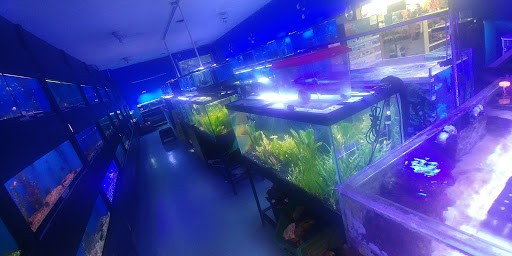 Pet Store «Coral Reef Pet Center», reviews and photos, 7723 W Lawrence Ave, Norridge, IL 60706, USA