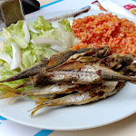 Photo n°1 de l'avis de Hein.u fait le 17/07/2019 à 21:43 sur le  Restaurante Snack-Bar Luz à Marmelete