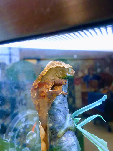 Pet Supply Store «PetSmart», reviews and photos, 1125 Hover St, Longmont, CO 80501, USA