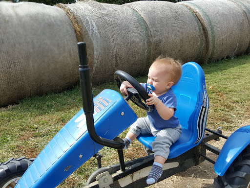 Farm «Bottom View Farm», reviews and photos, 185 Wilkerson Ln, Portland, TN 37148, USA