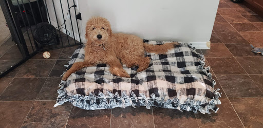 Fabric Store «Jo-Ann Fabrics and Crafts», reviews and photos, 4241 US Hwy 98 N, Lakeland, FL 33809, USA