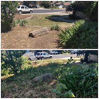 Hennesay Yard Clean Up - Photo 4 - Car repair in , Fresno