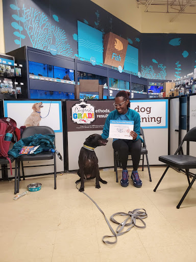 Pet Supply Store «Petco Animal Supplies», reviews and photos, 360 N Bedford Rd, Mt Kisco, NY 10549, USA