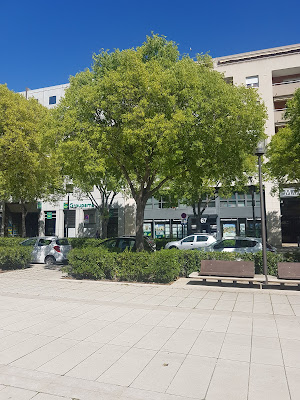 Le Petit Vedelin à Nîmes