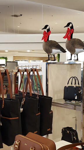 Department Store «Lord & Taylor», reviews and photos, 5255 Western Avenue Northwest, Washington, DC 20015, USA