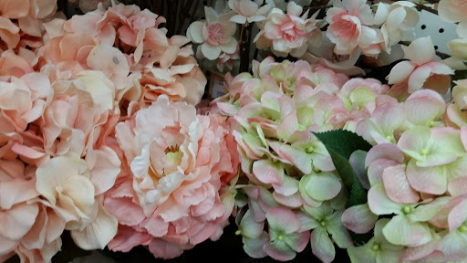 Craft Store «Michaels», reviews and photos, 4210 Veterans Memorial Dr, Batavia, NY 14020, USA