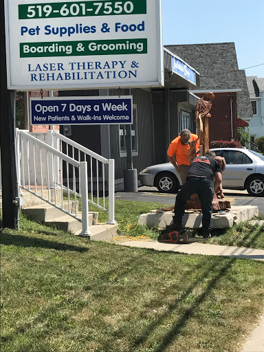 Hamilton Road Animal Hospital