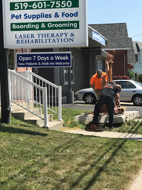 Hamilton Road Animal Hospital