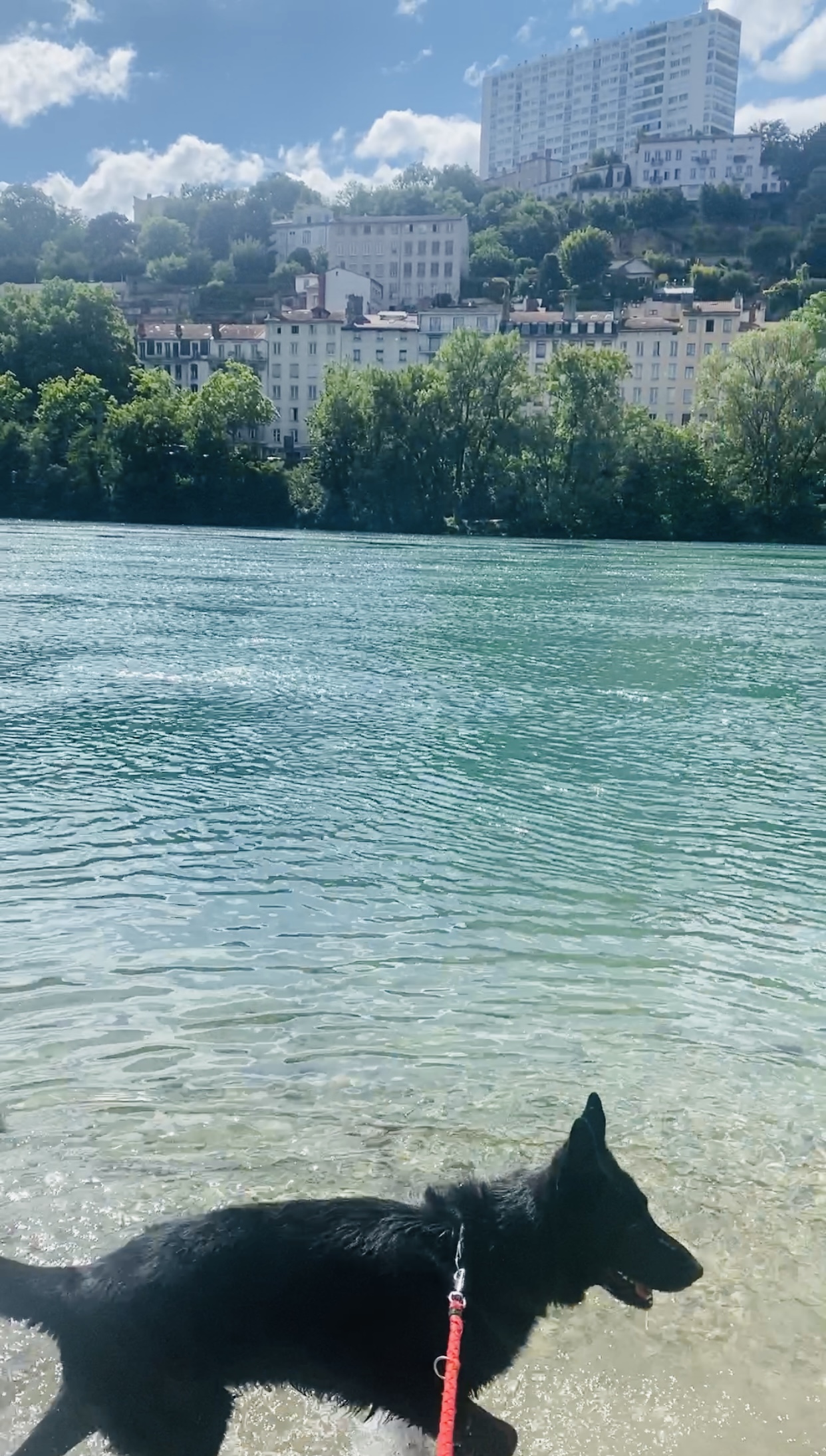 Photo n° 3 de l'avis de Marina.i fait le 10/06/2022 à 14:21