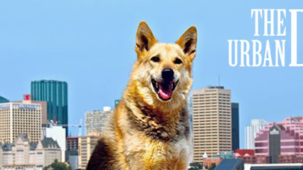 The Urban Dog Dog Daycare