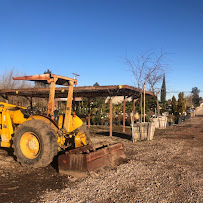 Mark & Nellies Nursery & Landscape - Photo 6 - Car repair in Victorville, CA, Victorville