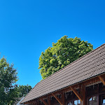 Photo n°1 de l'avis de Sabine.c fait le 10/08/2022 à 14:32 sur le  Gaststätte „Zum Forsthaus“ à Mühlheim am Main