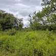 Lake Pleasant Conservation Area