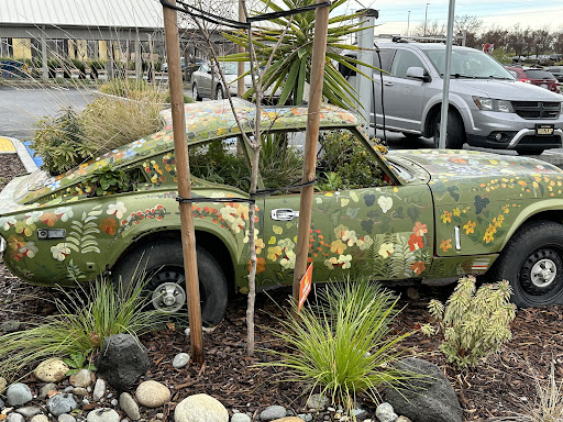 Amys Drive Thru image
