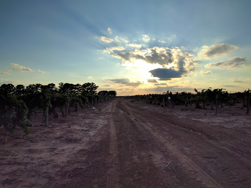 Winery «Pheasant Ridge Winery», reviews and photos, 3507 E County Road 5700, Lubbock, TX 79403, USA