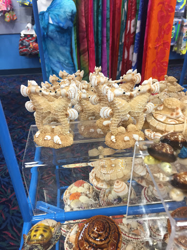 Gift Shop «Jungle Falls Gift Shop», reviews and photos, 5265 W Irlo Bronson Memorial Hwy, Kissimmee, FL 34746, USA