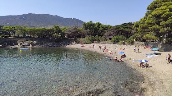 Platja d'en Pere Fet