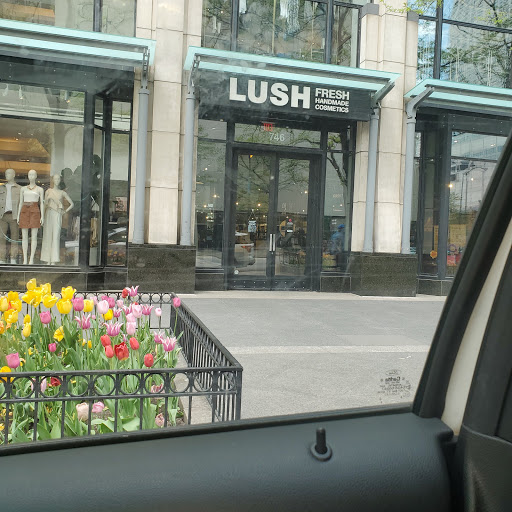 Lush in Chicago
