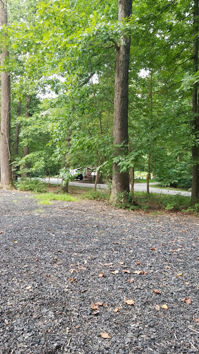 Park «Patapsco State Park», reviews and photos, 1101 Hilton Ave, Catonsville, MD 21228, USA