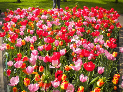 Travel Agency «Magic Carpet Travel», reviews and photos, 6276 S Jasper Ave, Milwaukee, WI 53207, USA