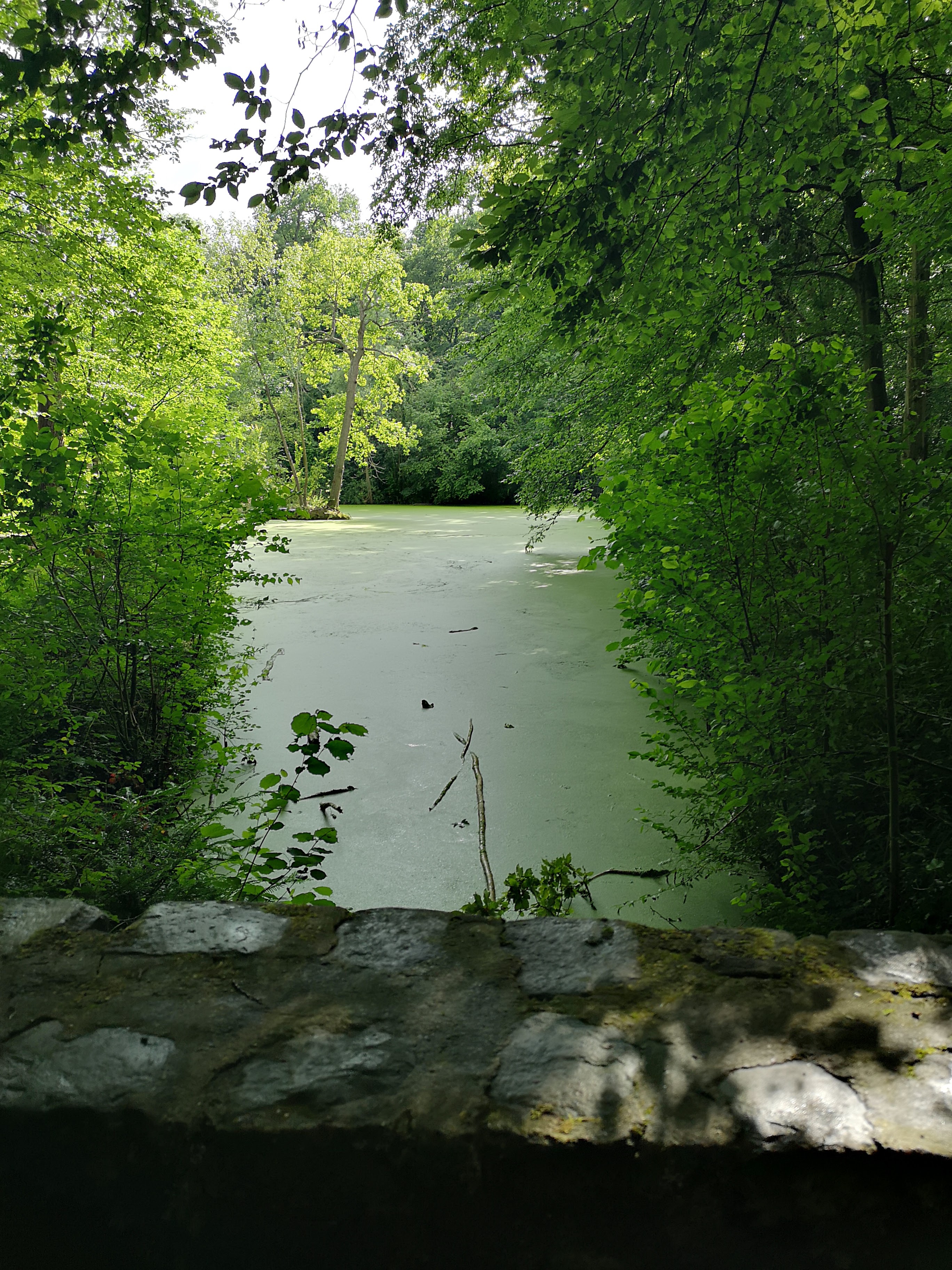 Photo n° 1 de l'avis de jérémy.r fait le 18/06/2019 à 20:39