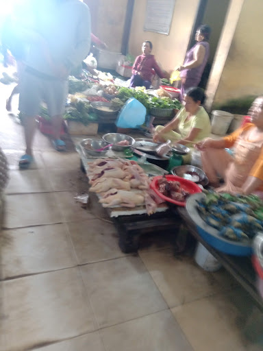 Top 12 cửa hàng tép cảnh Huyện Phú Vang Thừa Thiên Huế 2022