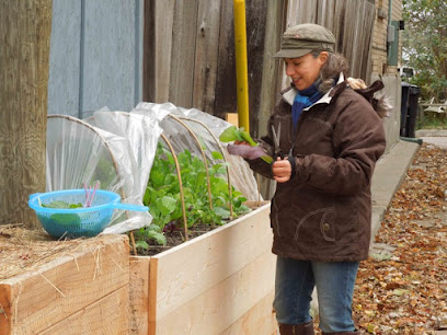 The Backyard Urban Farm Company (BUFCO)