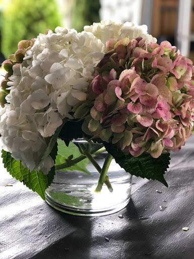 Florist «Frangipani Flowers & Gifts», reviews and photos, 1203 4th St, San Rafael, CA 94901, USA