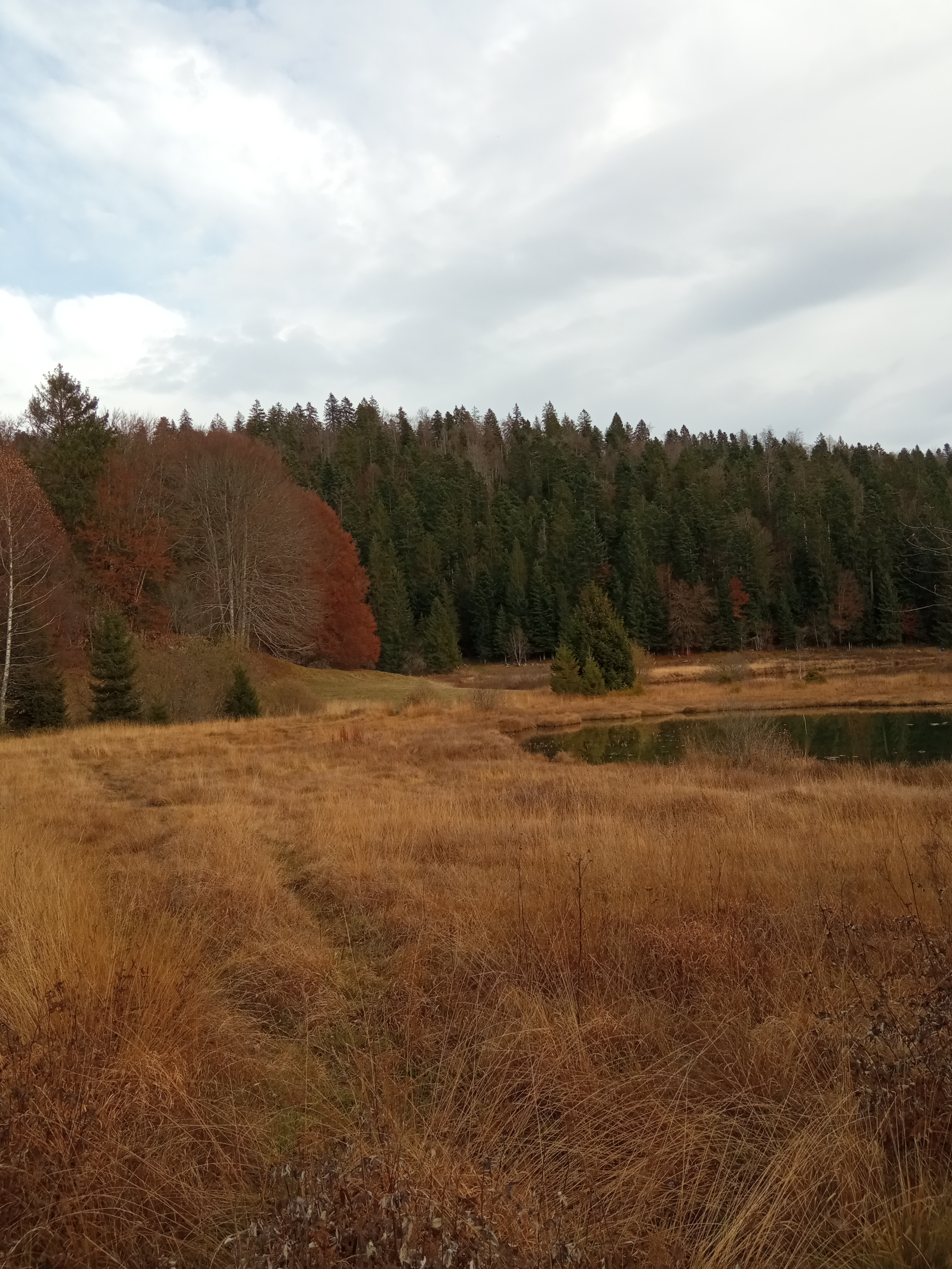 Photo n° 8 de l'avis de bribri.r fait le 10/11/2021 à 18:35