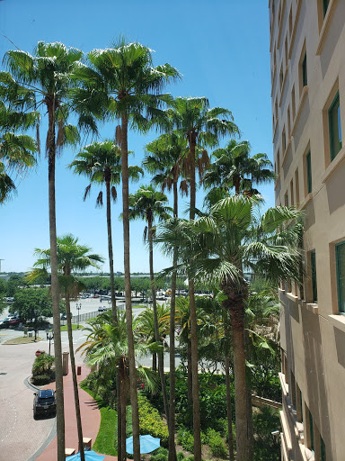 Hotel «The Florida Hotel & Conference Center», reviews and photos, 1500 Sand Lake Rd, Orlando, FL 32809, USA
