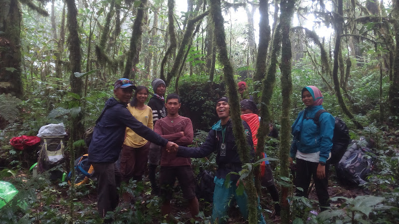 Hutan Nasional di Sumatera Barat: Menjelajahi Lembah Bunian Singgalang dan Rimbo Simpang