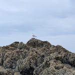 Photo n° 3 de l'avis de Philippe.o fait le 01/08/2021 à 17:37 pour Plage des Godelins à Binic-Étables-sur-Mer