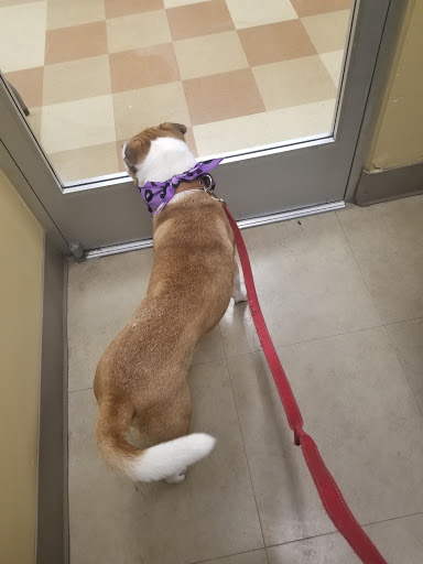 Pet Supply Store «Petco Animal Supplies», reviews and photos, 13311 20th Ave, College Point, NY 11356, USA