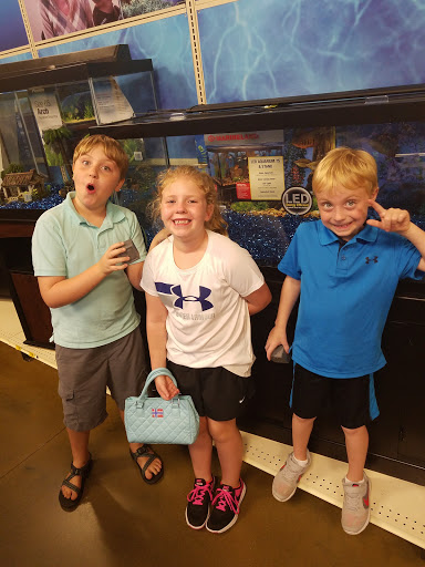 Pet Supply Store «PetSmart», reviews and photos, 2303 Jackson Ave W, Oxford, MS 38655, USA