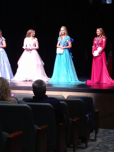 Performing Arts Theater «Theatre Dublin», reviews and photos, 314 Academy Ave, Dublin, GA 31021, USA