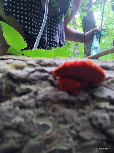 Park «Harrods Creek Park», reviews and photos, 6530 Montero Dr, Prospect, KY 40059, USA