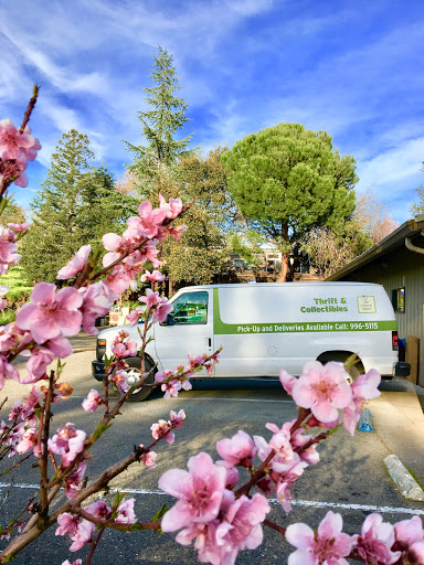 Thrift Store «The Church Mouse Thrift Shop», reviews and photos, 16885 CA-12, Sonoma, CA 95476, USA