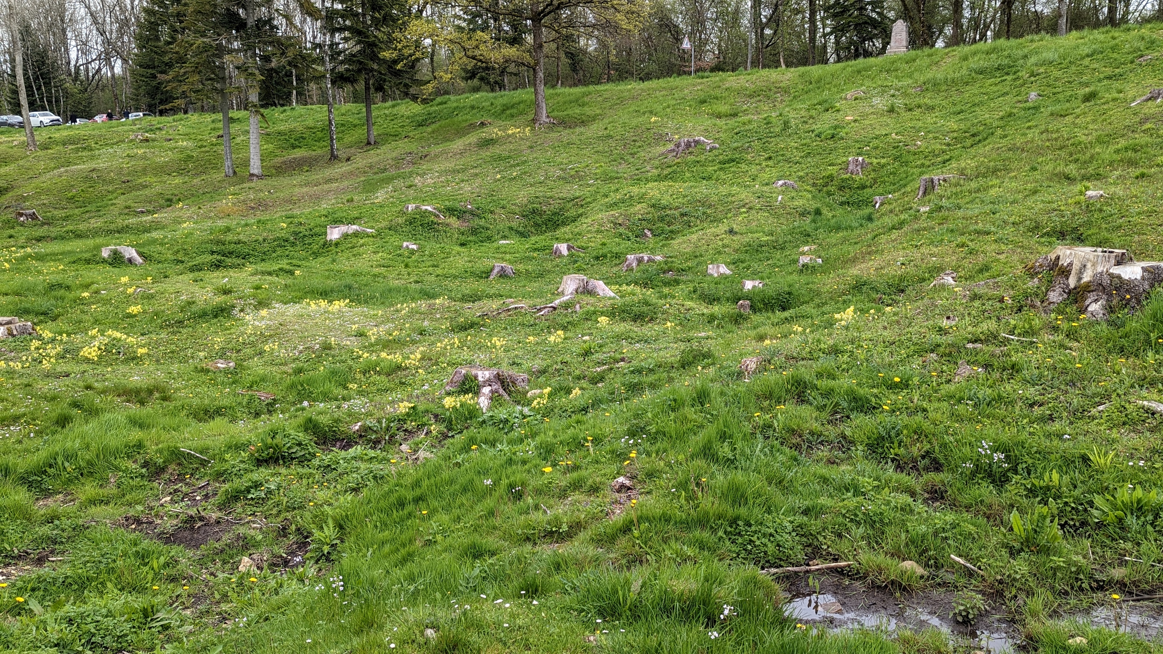Photo n° 9 de l'avis de Jörg.e fait le 08/05/2023 à 16:19