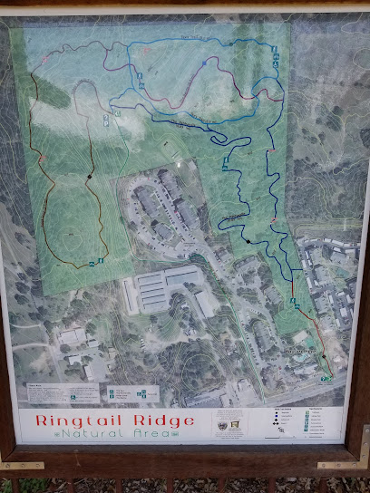 Ringtail Ridge Spur Entrance