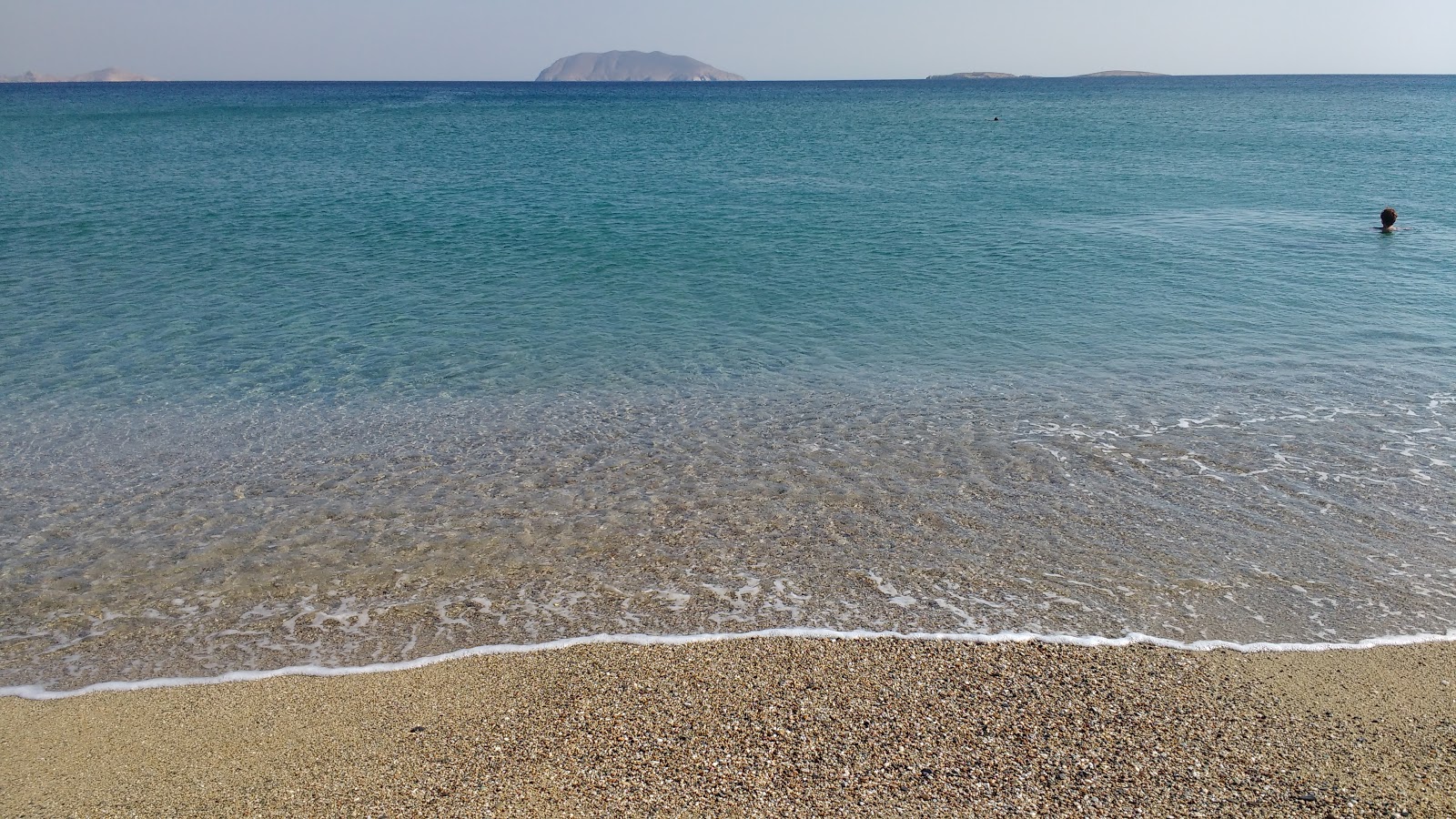 Paralia Roukounas'in fotoğrafı vahşi alan