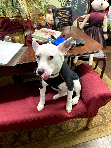 Florist «Lily & Vine floral Design», reviews and photos, 405 Migeon Ave, Torrington, CT 06790, USA