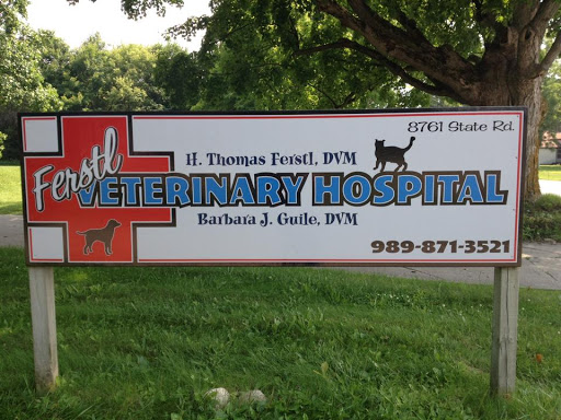 Ferstl Veterinary Hospital