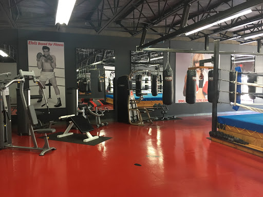 Gym «Punch Boxing For Fitness», reviews and photos, 2617 FL-60, Valrico, FL 33594, USA