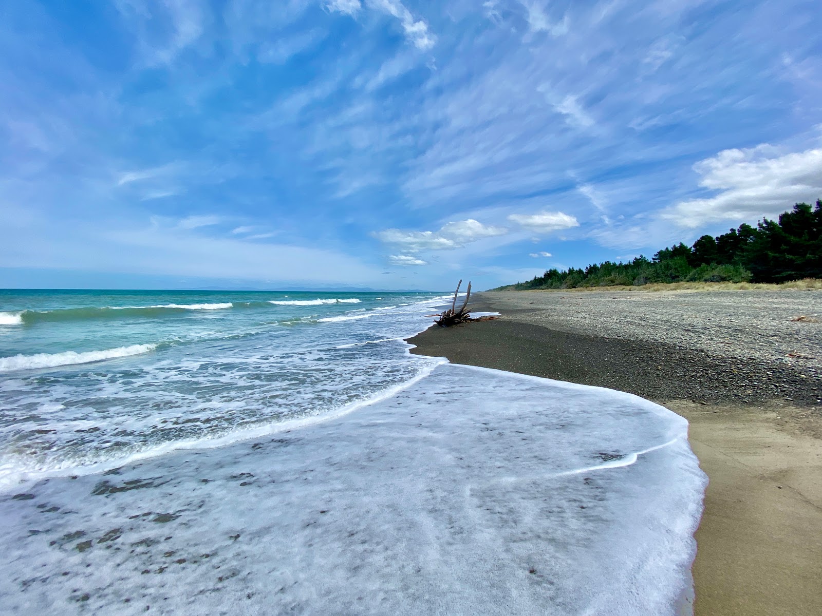 Foto von Leithfield Beach annehmlichkeitenbereich