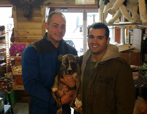 Pet Supply Store «Cheshire Cat & Dog Too», reviews and photos, 1320 Waterbury Rd, Cheshire, CT 06410, USA