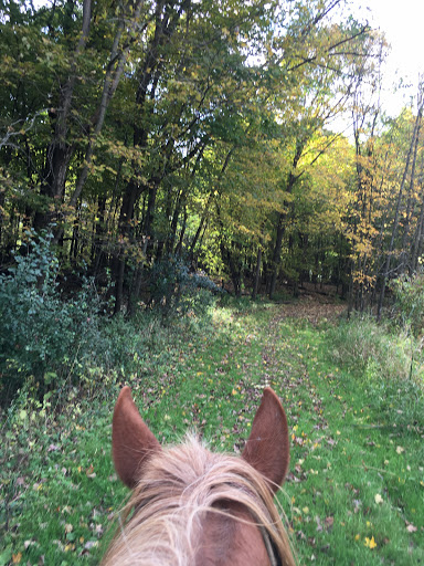 Park «Baker Park Reserve - Near-Wilderness Settlement», reviews and photos, 4001 County Rd 24, Maple Plain, MN 55359, USA