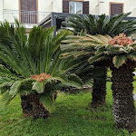 Photo n°6 de l'avis de Alan.h fait le 17/04/2021 à 09:32 sur le  Casena dei Colli à Palermo