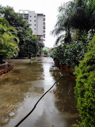 Google Maps image 19