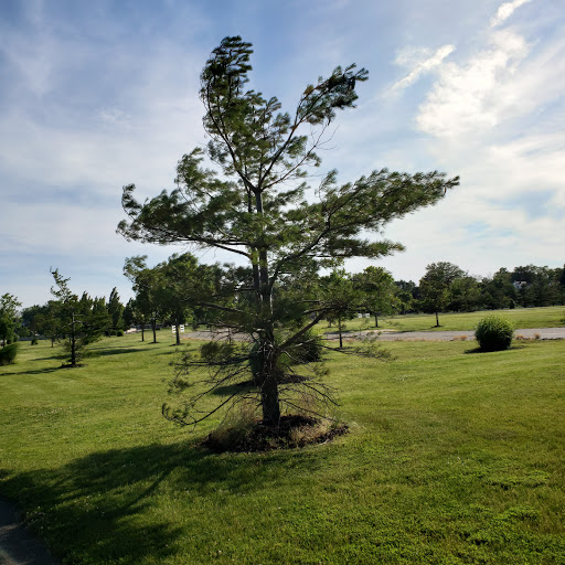 Memorial Park «Alvin P. Williams Memorial Park», reviews and photos, Port Reading Ave, Sewaren, NJ 07077, USA